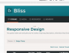 bliss-62_ss8.png
