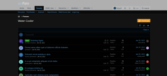 dns4.png
